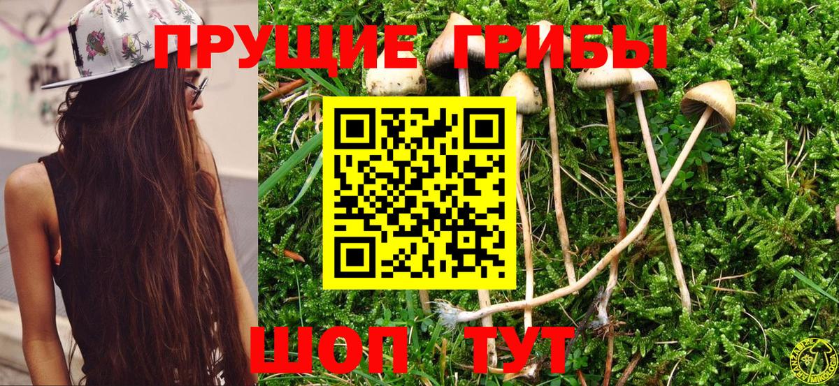 Псилоцибиновые грибы MAGIC MUSHROOMS Новозыбков