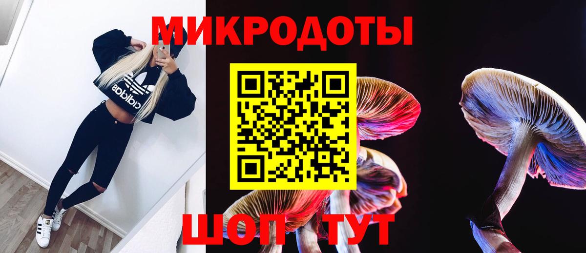 Галлюциногенные грибы ЛСД  Вход с VPN  Новозыбков 
