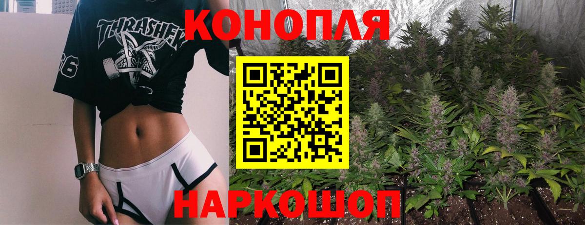 Марихуана марихуана Новозыбков